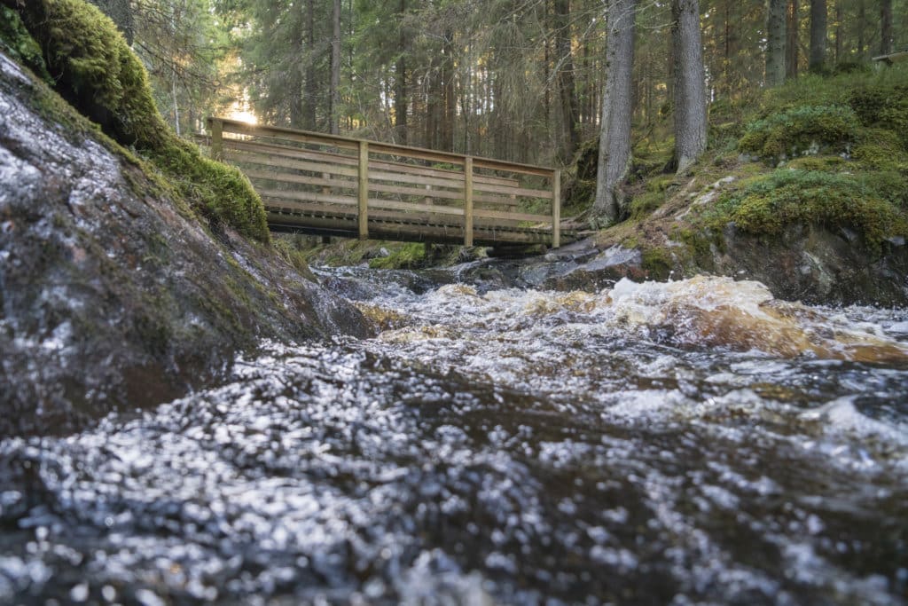 Juupajoen rotko, Pohjoisviitta