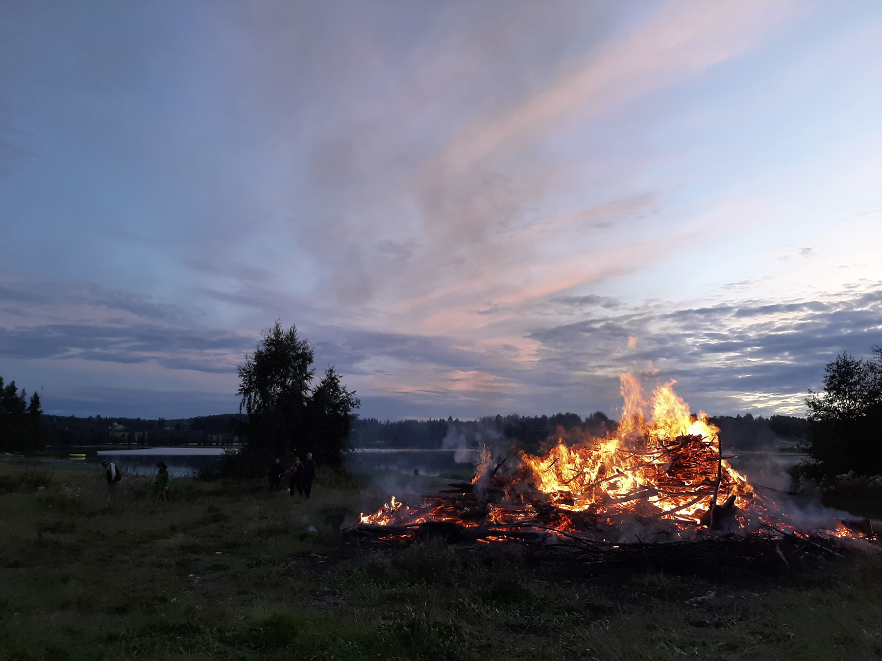 Kopsamon kokko