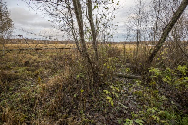 Pappilanniemi lintutornin paikka