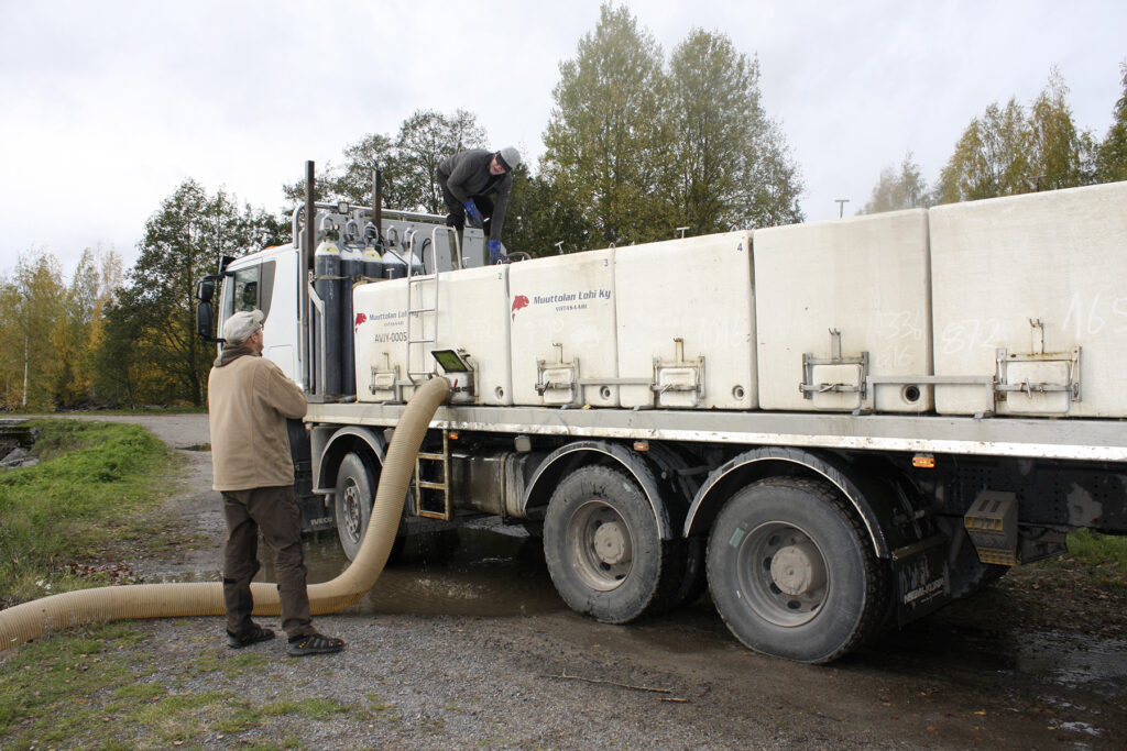 Järvitaimenen istutus