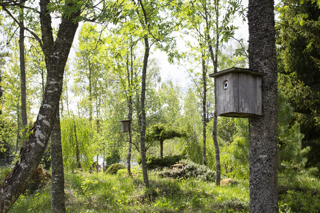 Arboretum, Minna ja Mauri Kaila