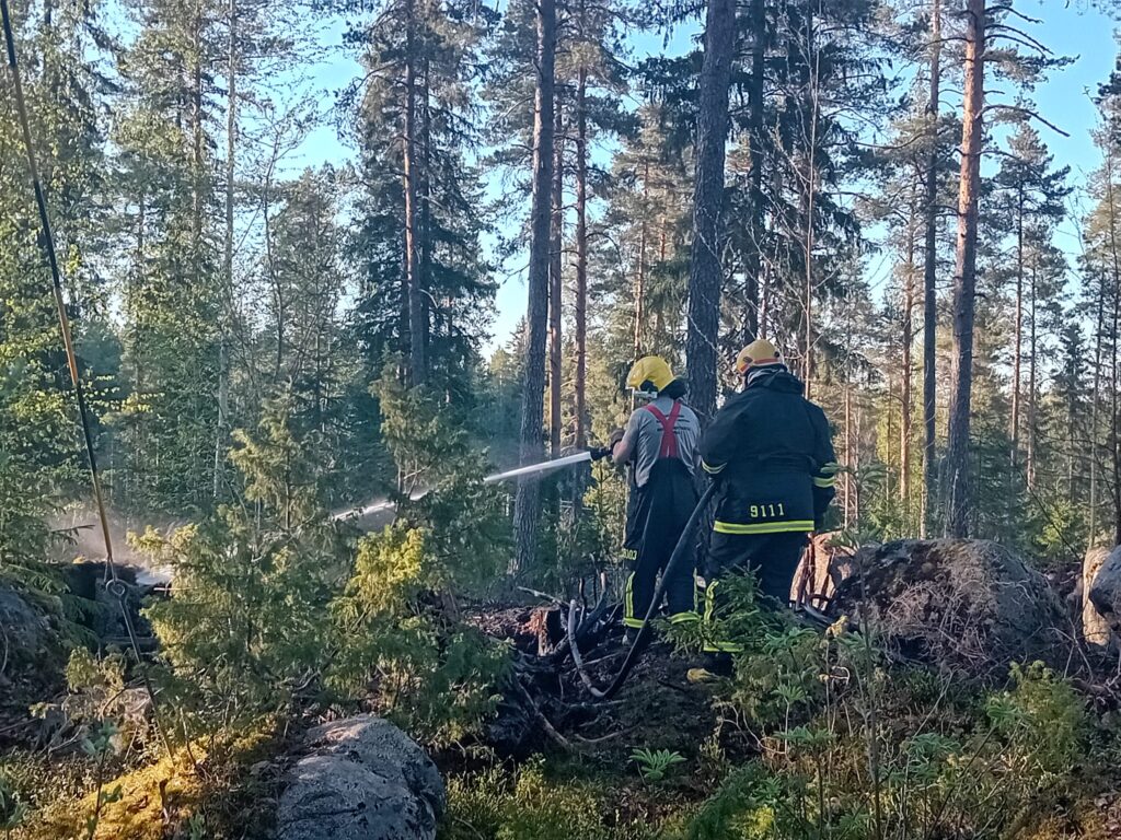 Paltanmäen maastopalo