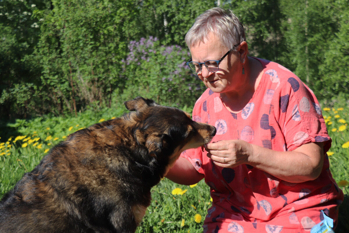 Tv-koira Karma nauttii leppoisasta elosta maaseudun rauhassa – koira on juuri sellainen kuin uudet omistajat toivoivat ja vielä vähän enemmänkin