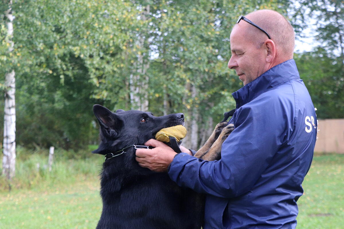 Mika Leskelä hurahti koiriin 40 vuotta sitten armeijassa ja jäikin sinne lopulta koiranohjaajaksi – parhaimpana onnistumisenaan koirien kanssa hän pitää vankilasta löytyneitä huumekätköjä